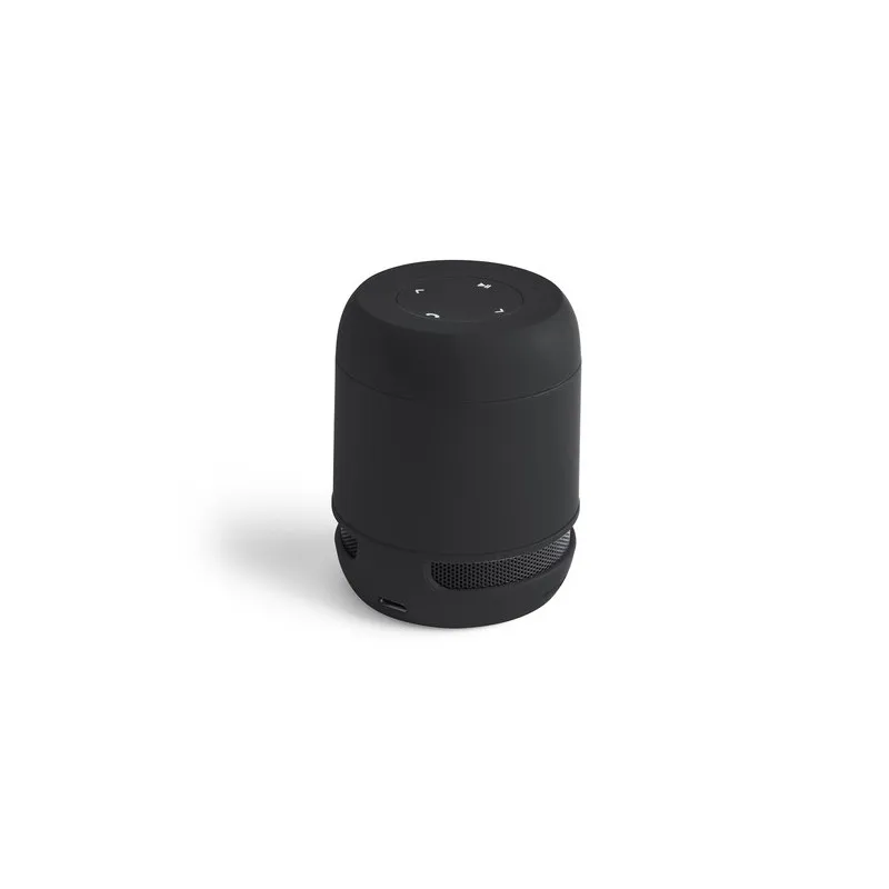 Haut-Parleur Braiss : Compact et Puissant