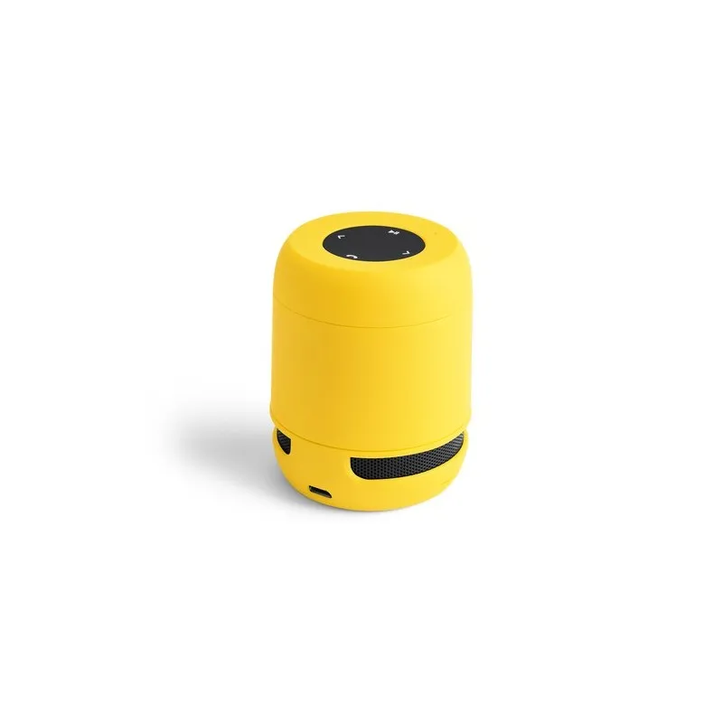 Haut-Parleur Braiss : Compact et Puissant