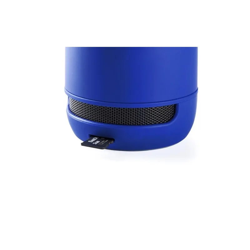 Haut-Parleur Braiss : Compact et Puissant