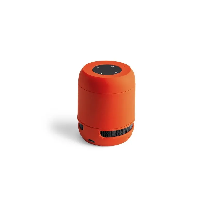 Haut-Parleur Braiss : Compact et Puissant