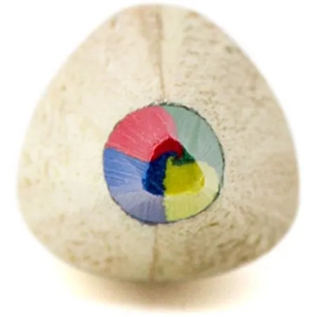 Crayon Multicouleur Mae - Écriture Créative