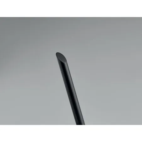 Stylo sans encre PENEVER : Écriture durable et écolo