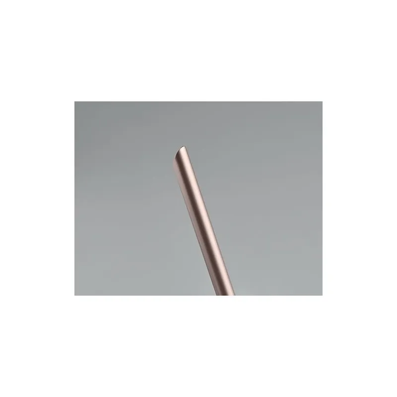 Stylo sans encre PENEVER : Écriture durable et écolo