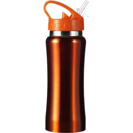 Gourde Serena 600 ml en Acier Inoxydable
