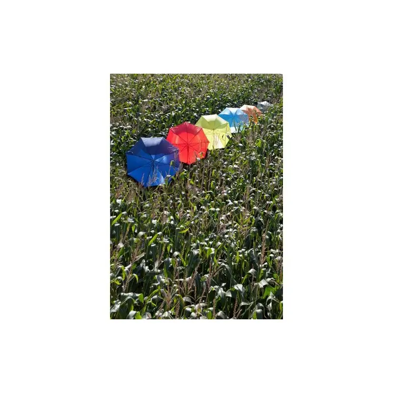 Parapluie Golf Automatique Andy - Élégance et Praticité